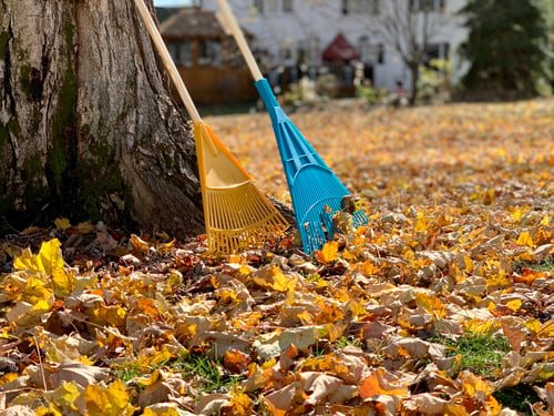 A Fall Clean-Up Checklist for Snohomish County Yards