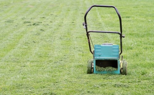 Lawn Aeration