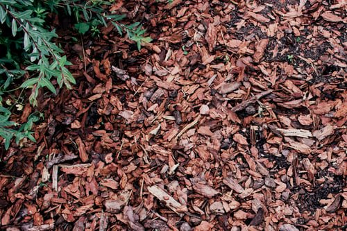 Mulch & Bark Installation