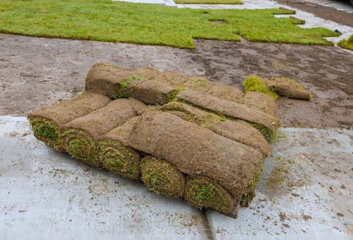 Sod Installation