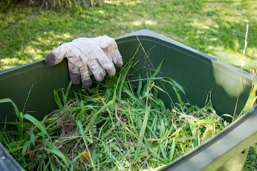 Noriega Landscaping crew maintaining a residential yard