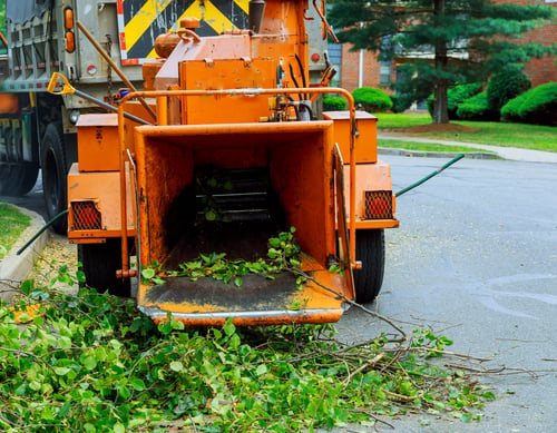 Landscape Clean-Ups